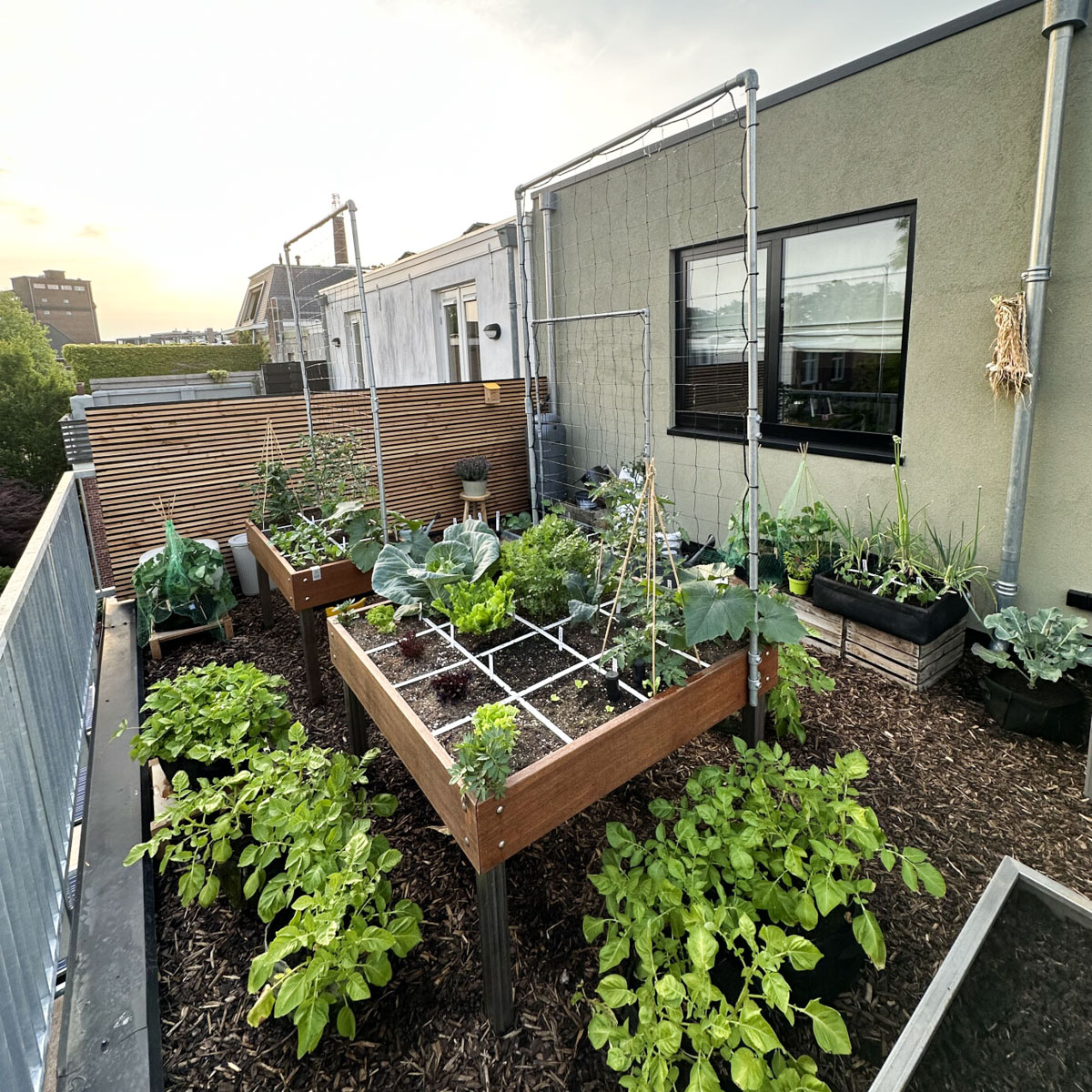Wat brengt deze Makkelijke Moestuin dit jaar op?