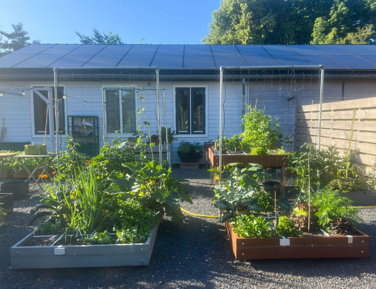 Zomeravond in de Makkelijke Moestuin