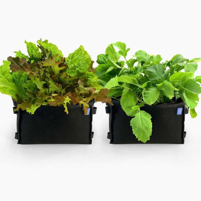 Cadeaupakket Mini moestuin