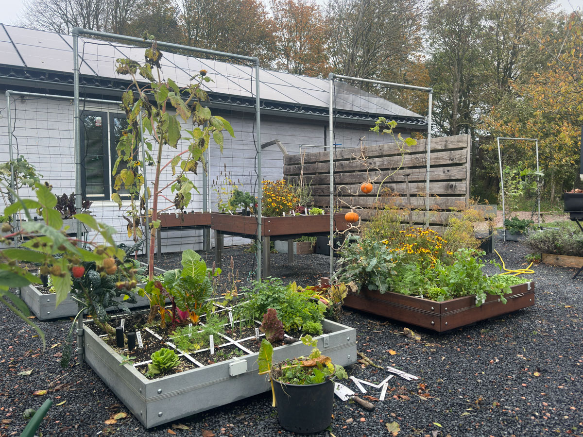 Clearing Makkelijke Moestuin raised beds for winter