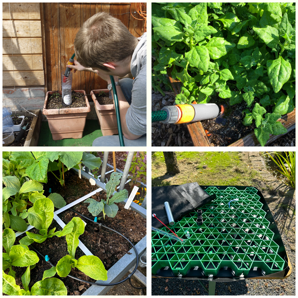 Failed watering tests using bottles, a garden hose, irrigation tubes and pond liner