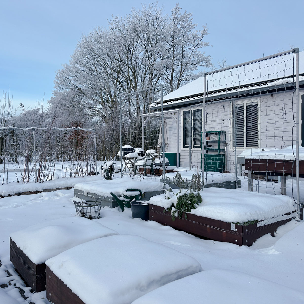 Makkelijke Moestuinbakken op 11 januari in Den Andel: dik pak sneeuw en 8 graden onder nul.