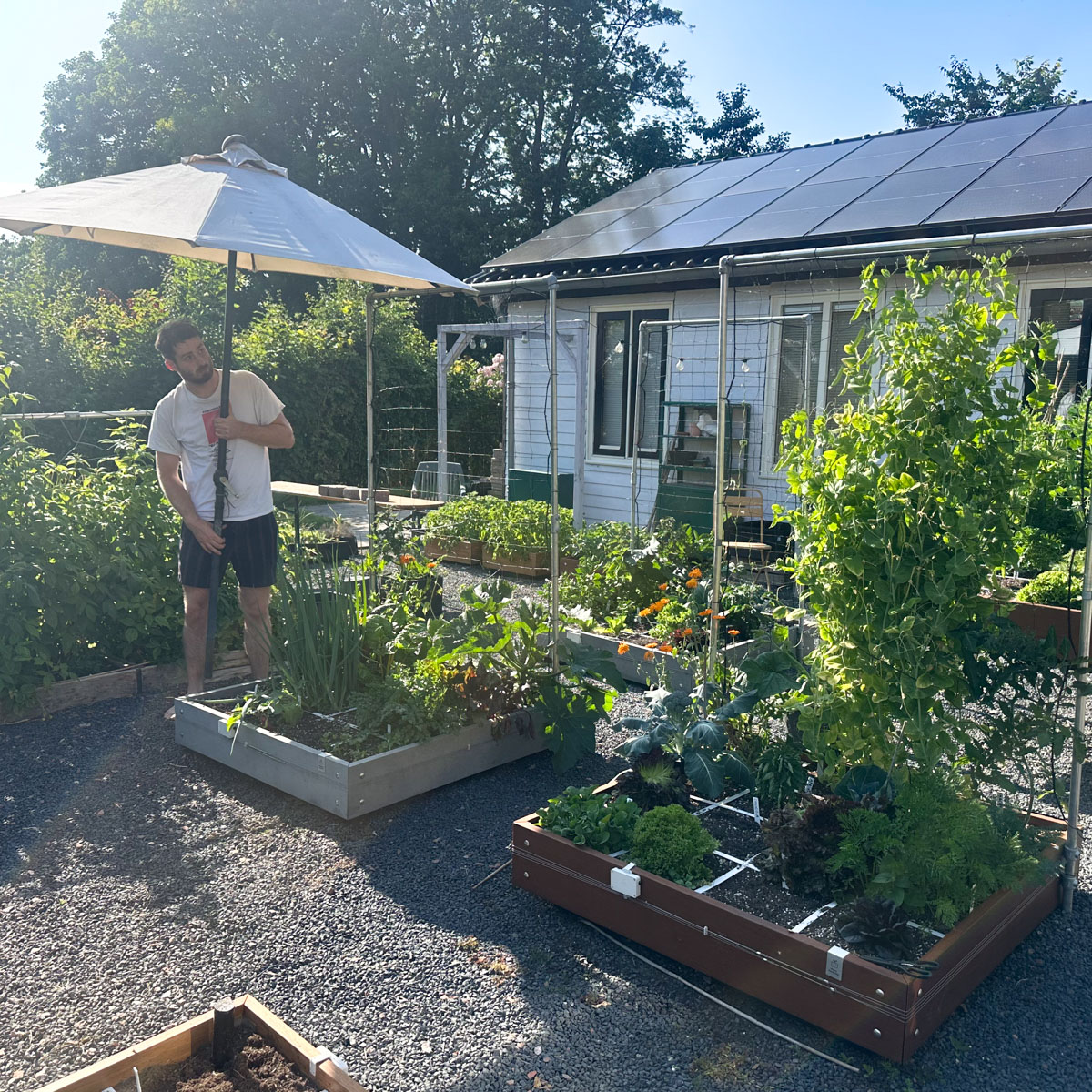 Makkelijke Moestuinbakken geef je zo nodig heel makkelijk wat schaduw