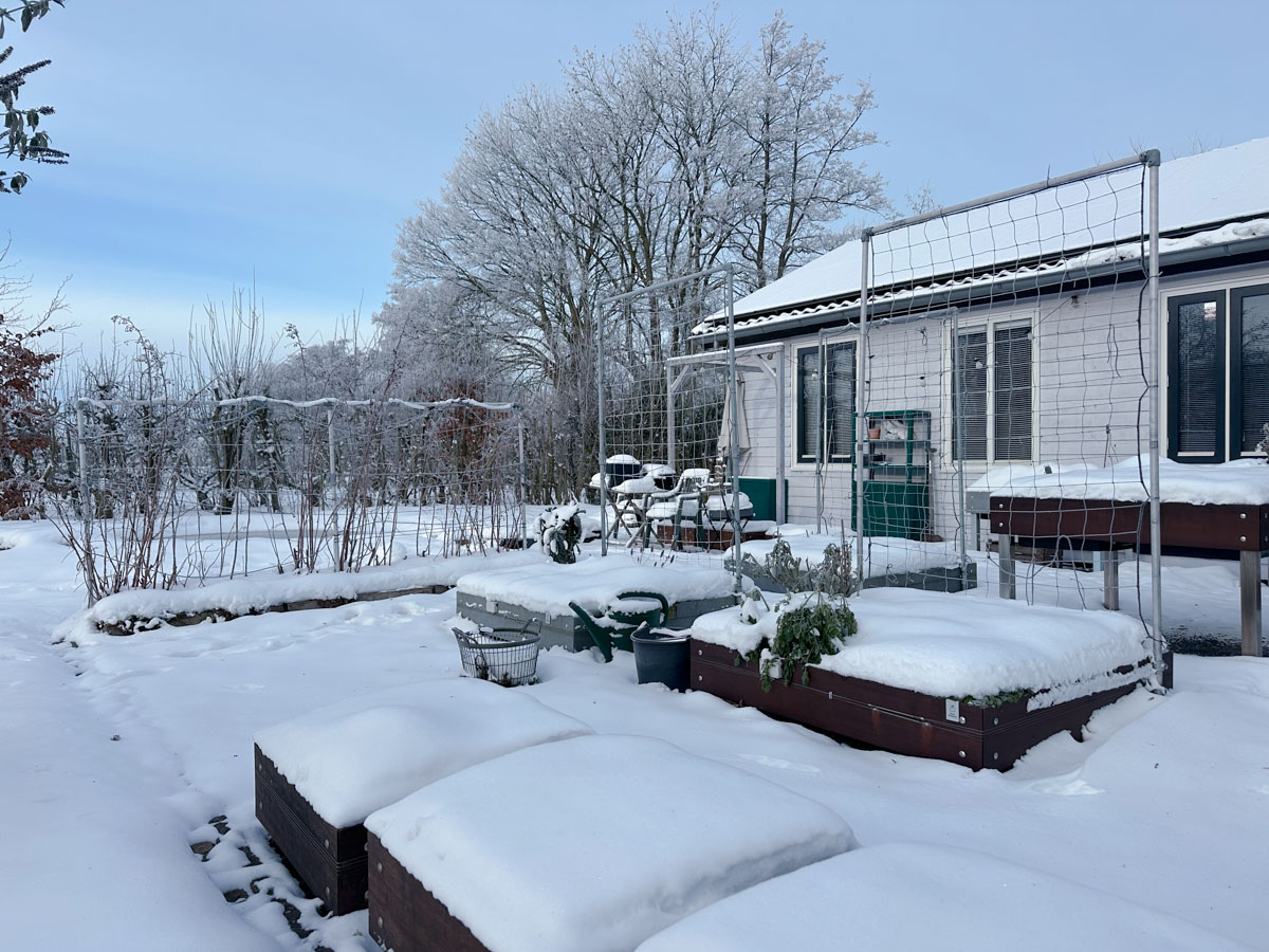 Januari in the Planty Garden after a frosty night