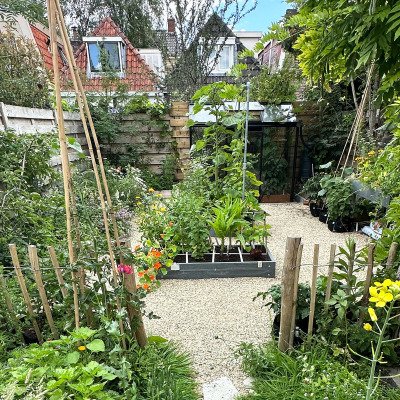 The best spot for your Planty Garden