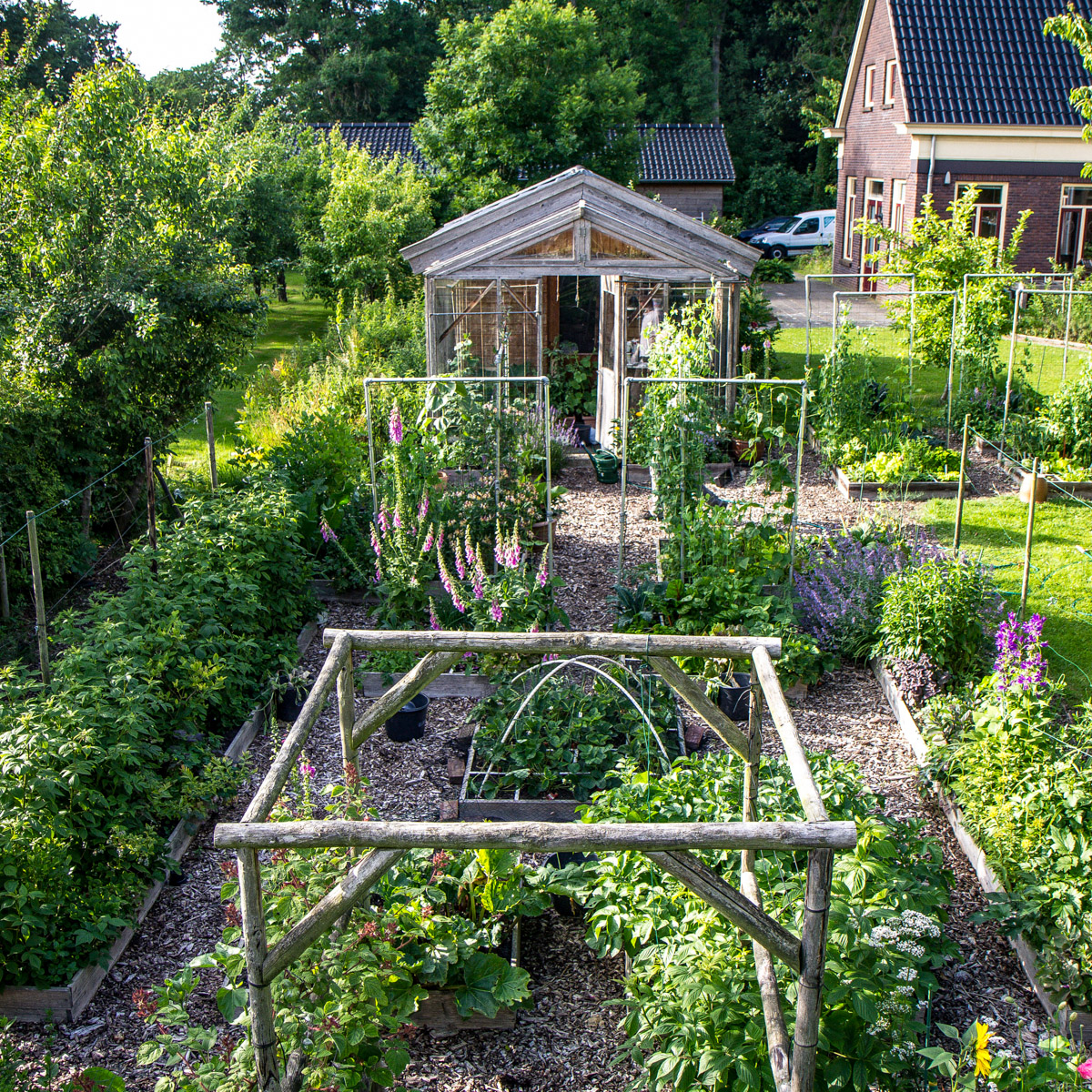 Onze eerste moestuinbakken in Den Andel