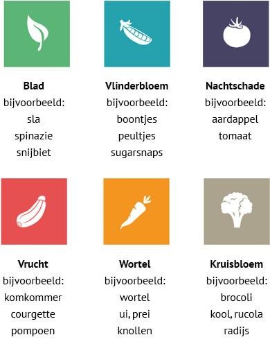 Bij de Makkelijke Moestuin heeft elke plantenfamilie een eigen kleur
