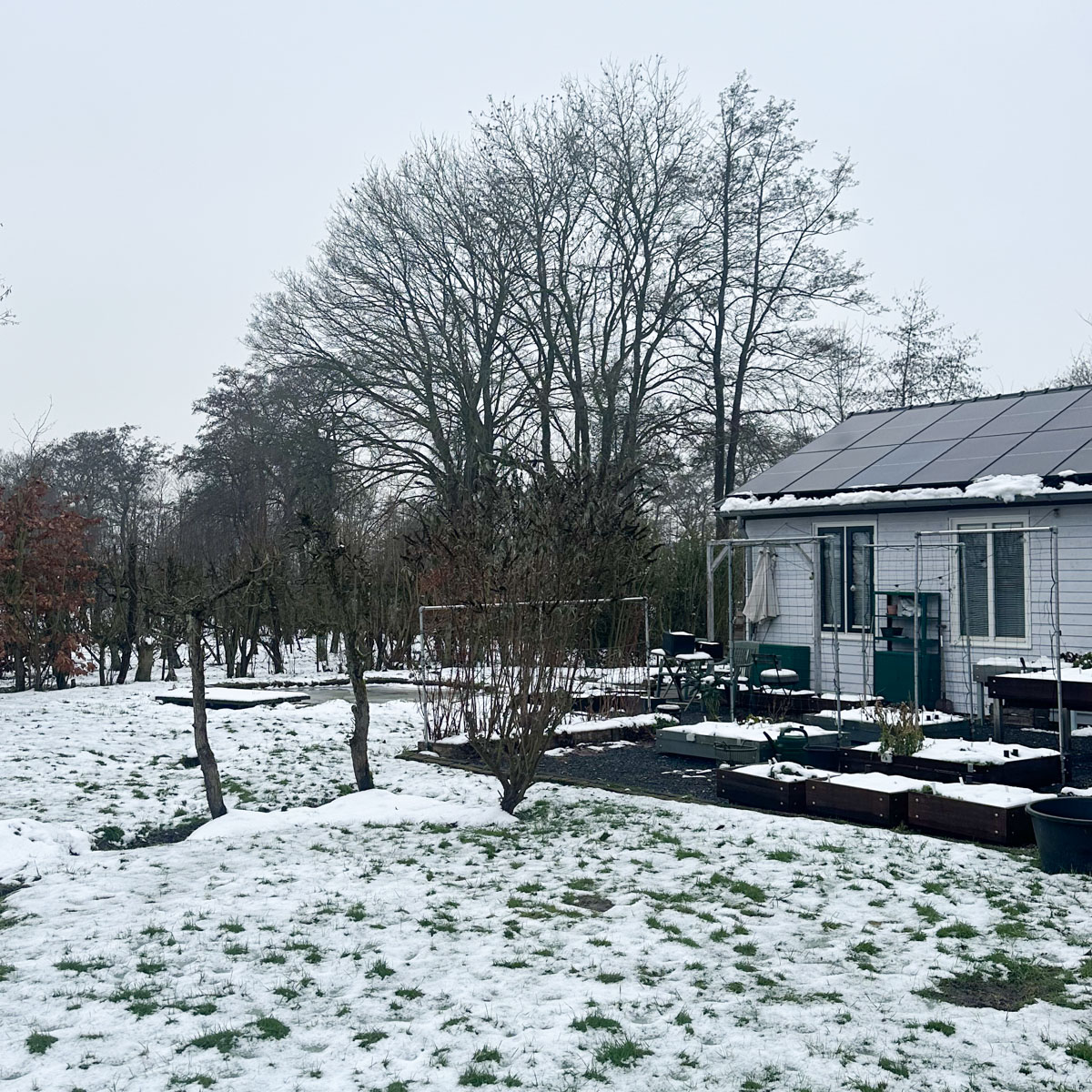Hier in Groningen is en blijft het nog steeds winters koud.