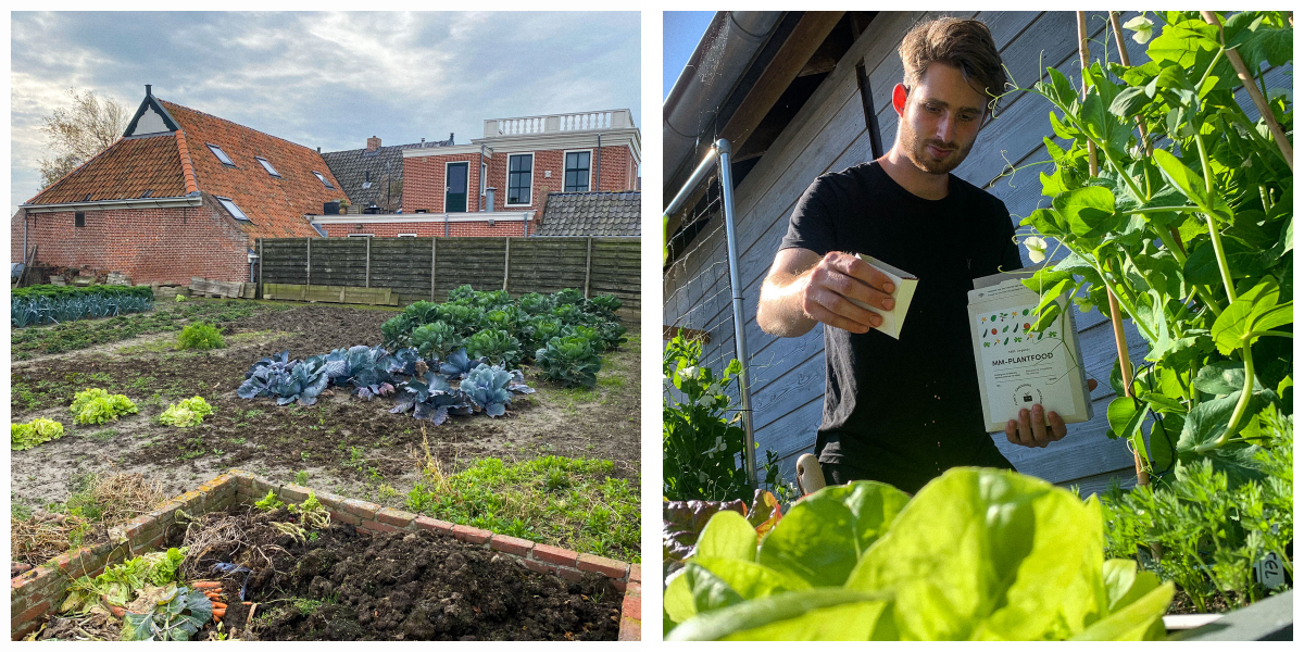 Links: compost als extra voeding is zelden genoeg, rechts: MM-voeding is geschikt voor al je planten
