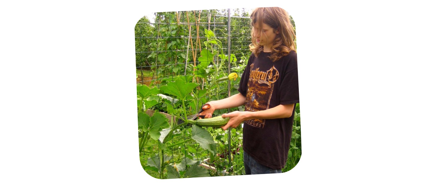 Zo begon de Makkelijke Moestuin