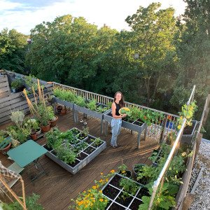 MM-Hero garden box, 16 squares
