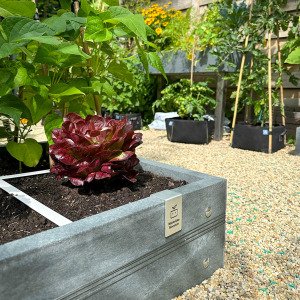 MM-Hero garden box, 4 squares