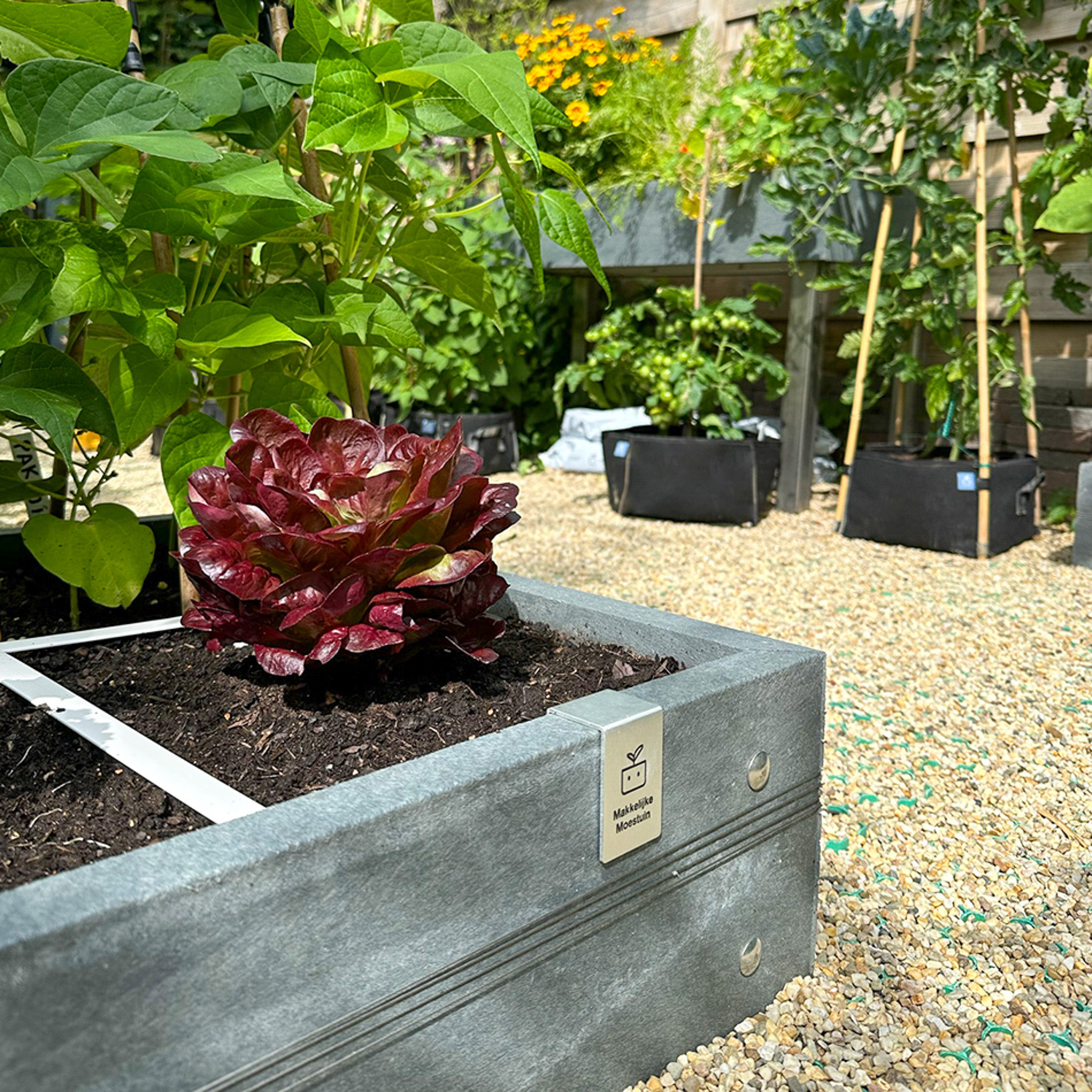 MM-Hero garden box, 4 squares