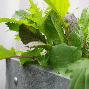 MM-Hero raised table garden box, 8 squares