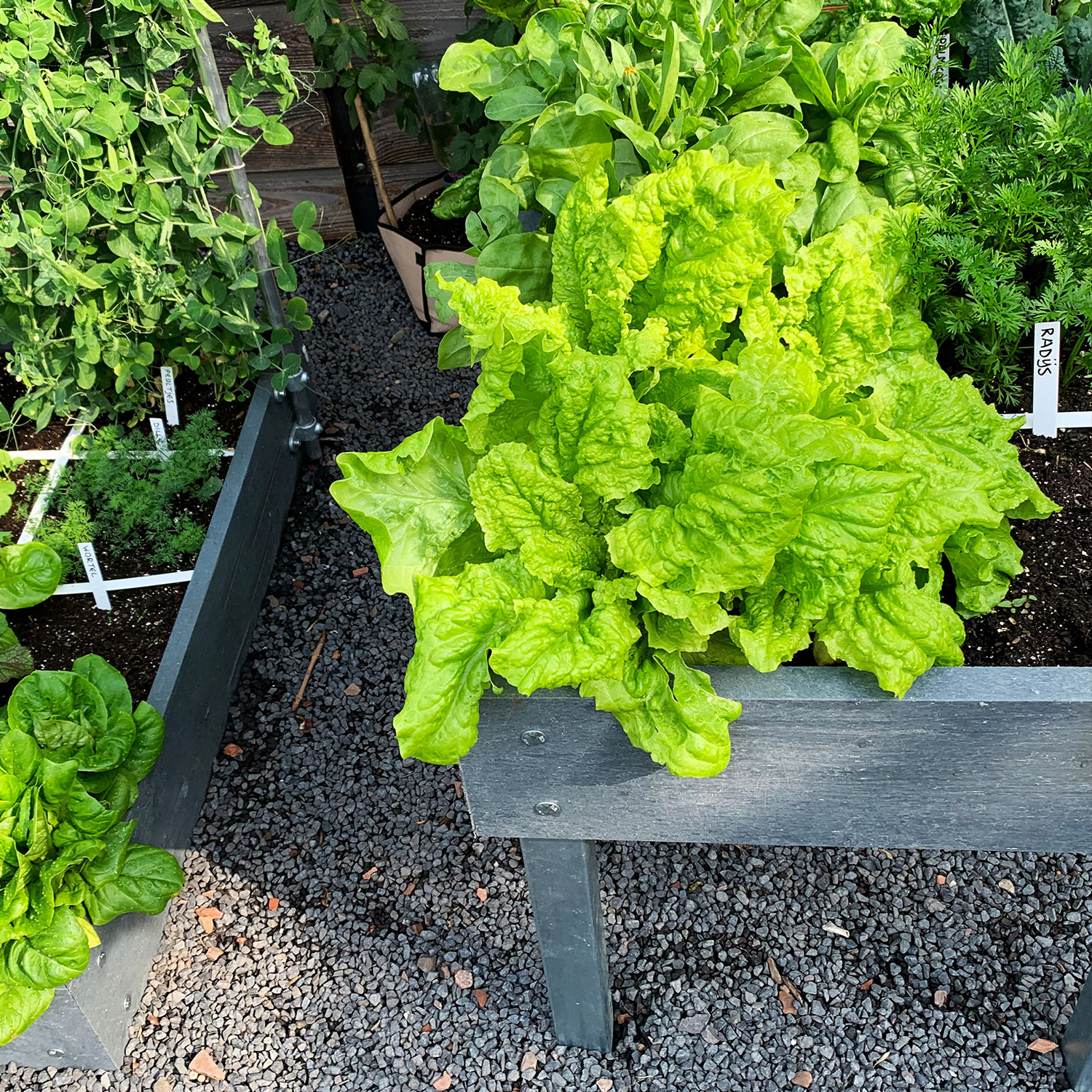 MM-Hero raised table starter kit, 16 squares