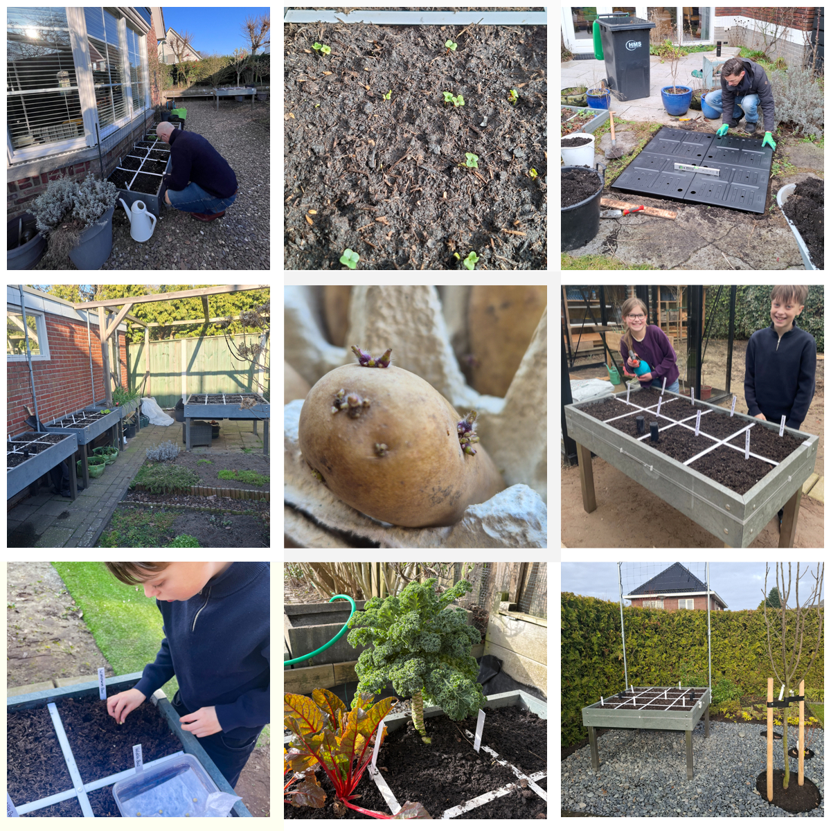 Een paar van de vele foto's op de Makkelijke Moestuin community
