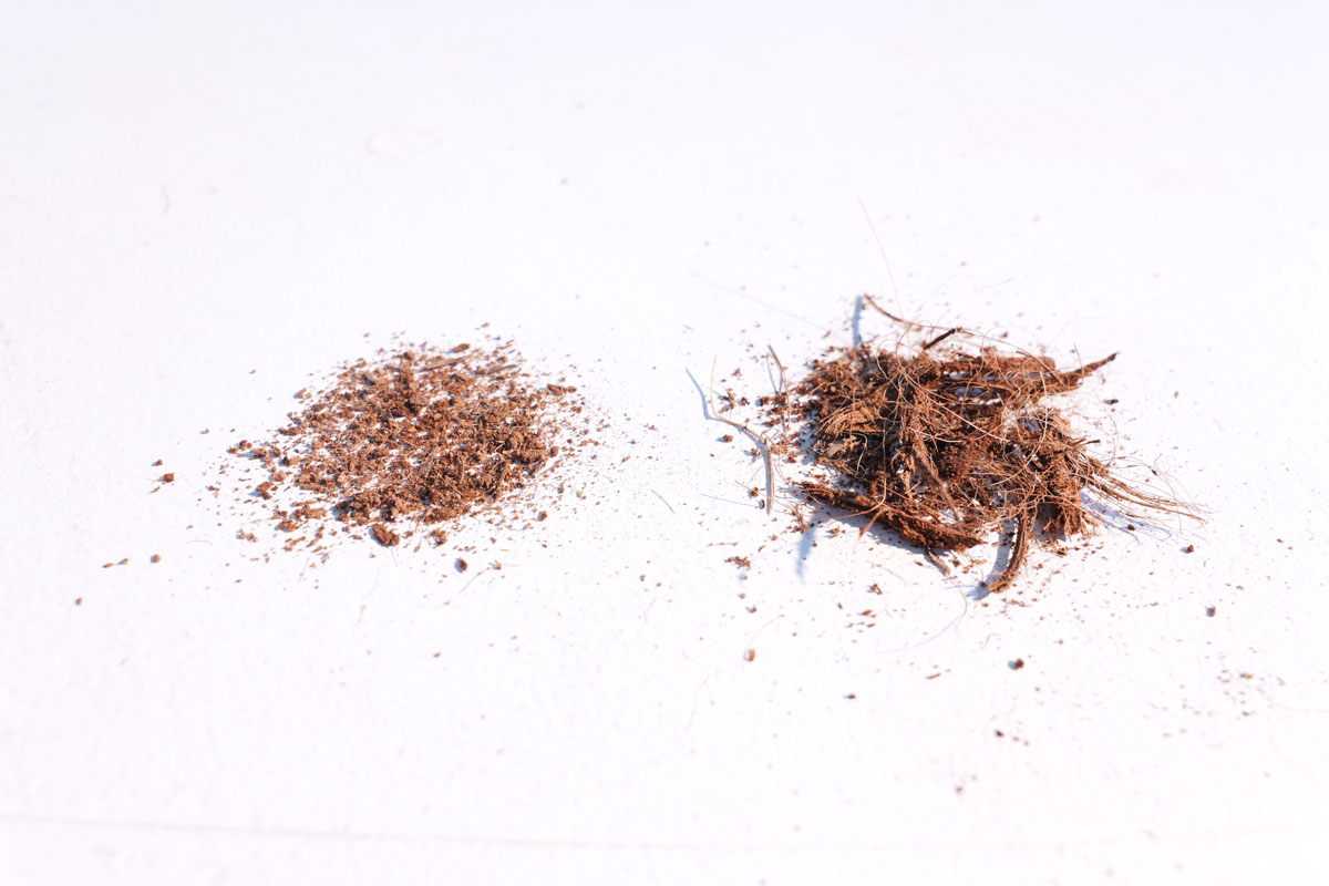 Links: fijne kokosvezels, rechts: kokosvezels in de Makkelijke Moestuin kokosmix
