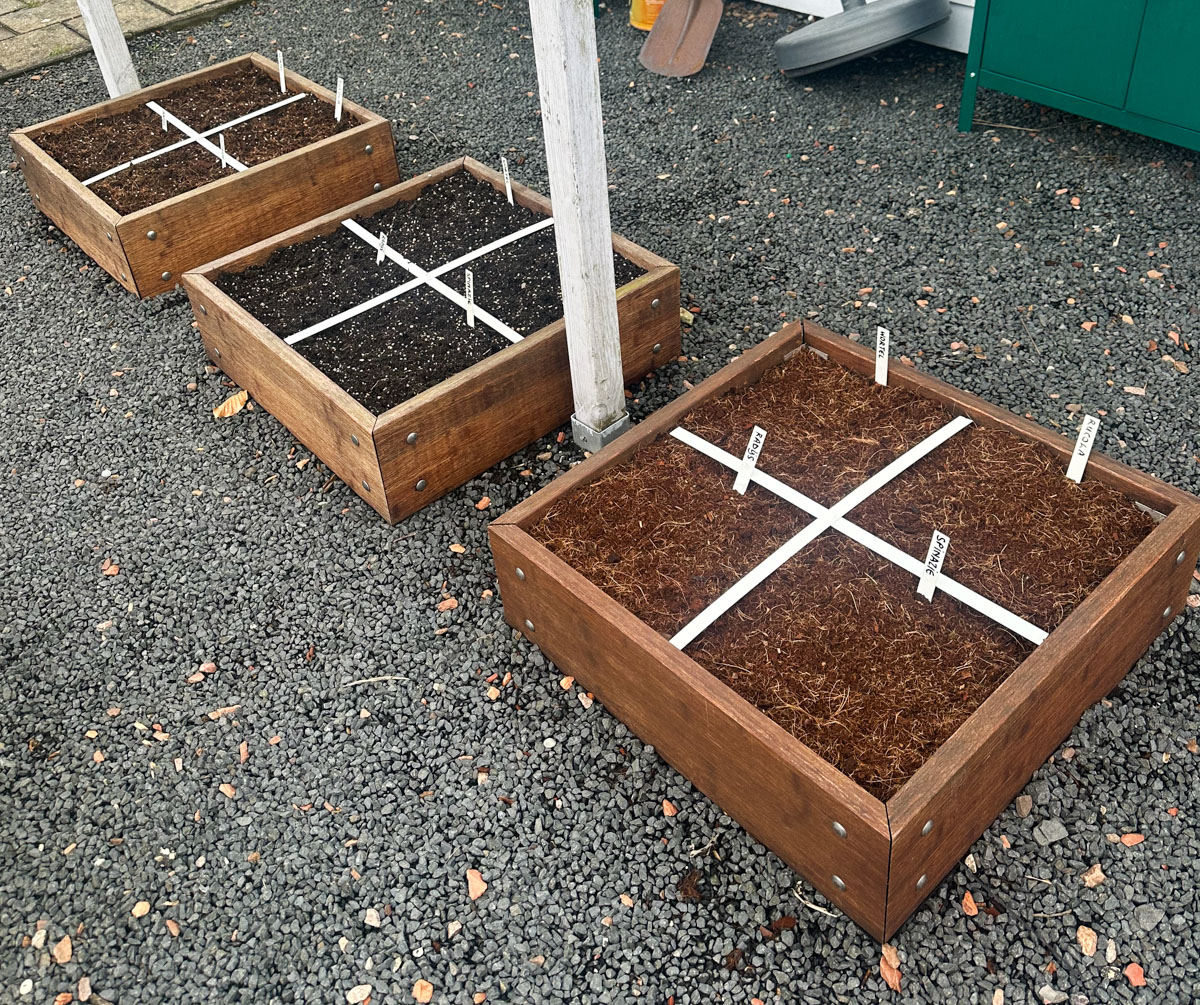 Testbakken met Makkelijke Moestuinmix en kokosmix.