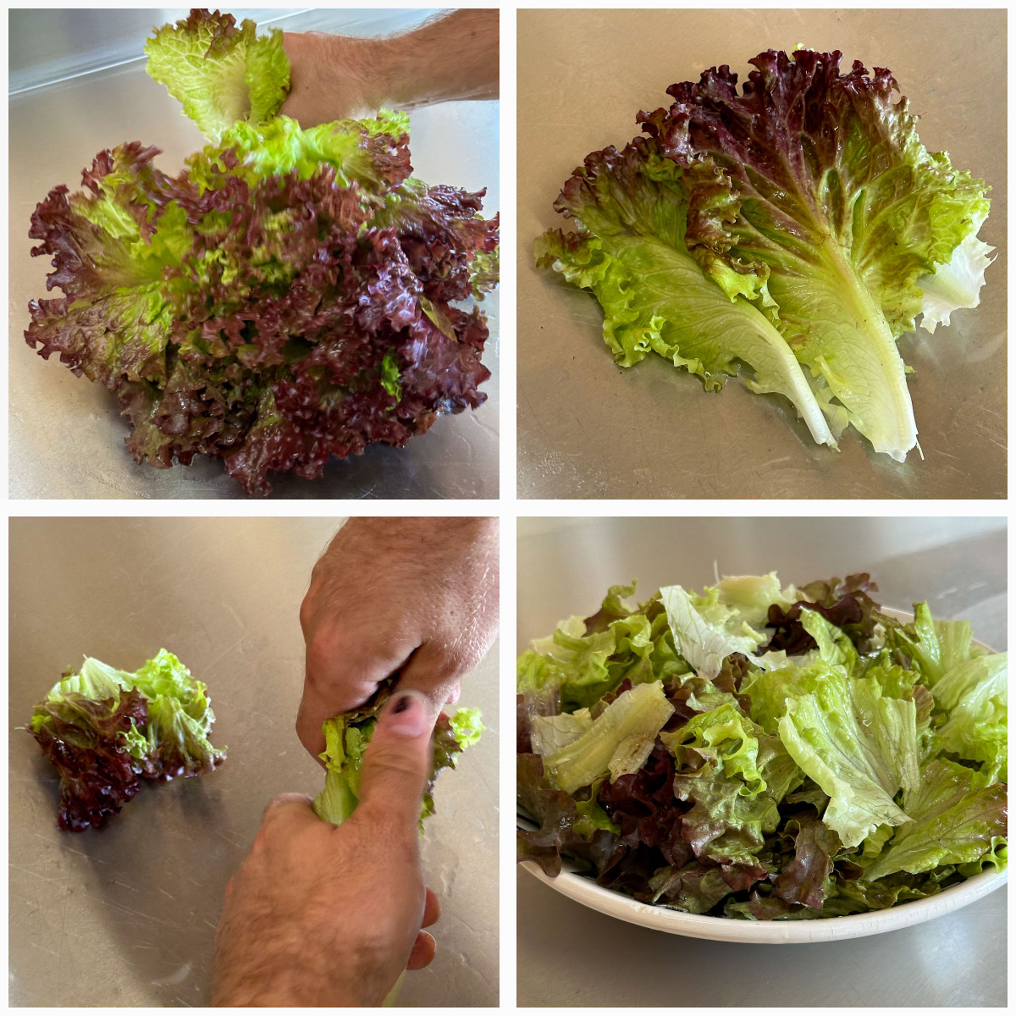 With 3 large Red lettuce leaves you can fill a whole salad bowl