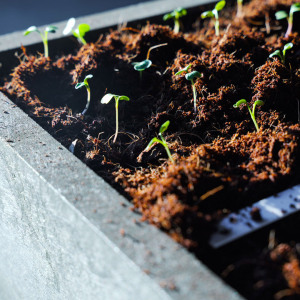 Makkelijke Moestuin Kokosmix 20L