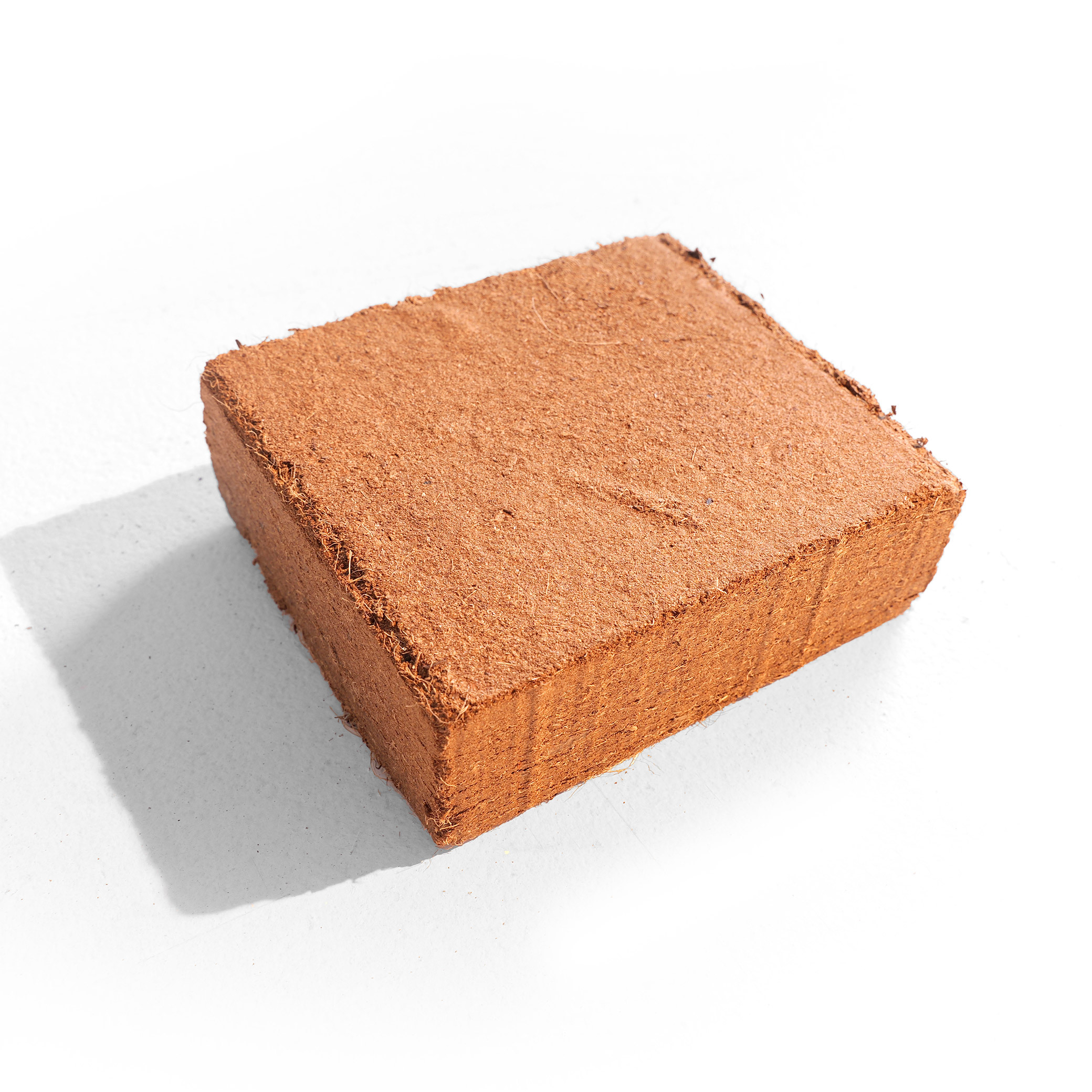 Kokosblok van fijne kokosvezels: speciaal om op voor te zaaien.
