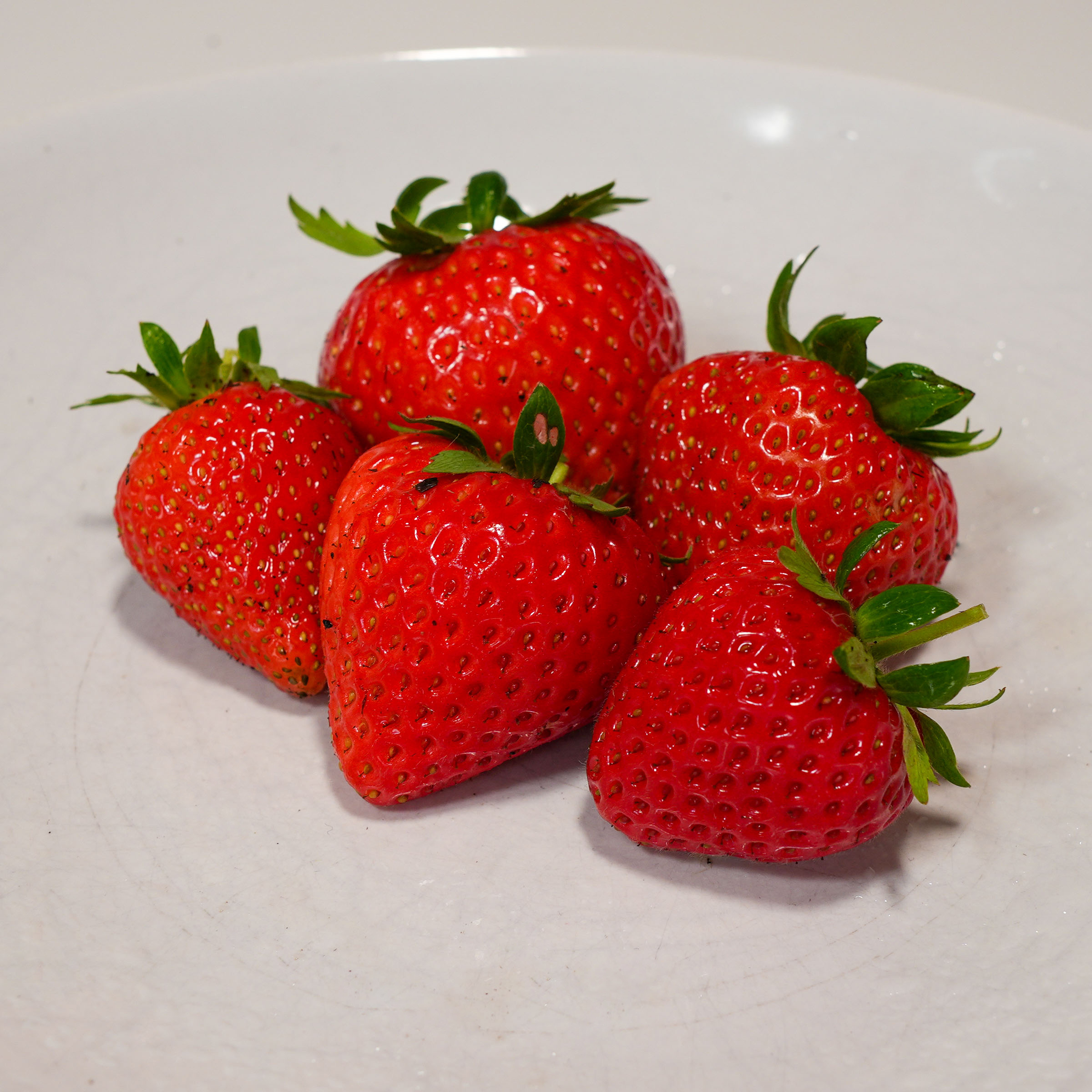 The Favori strawberries of the Makkelijke Moestuin