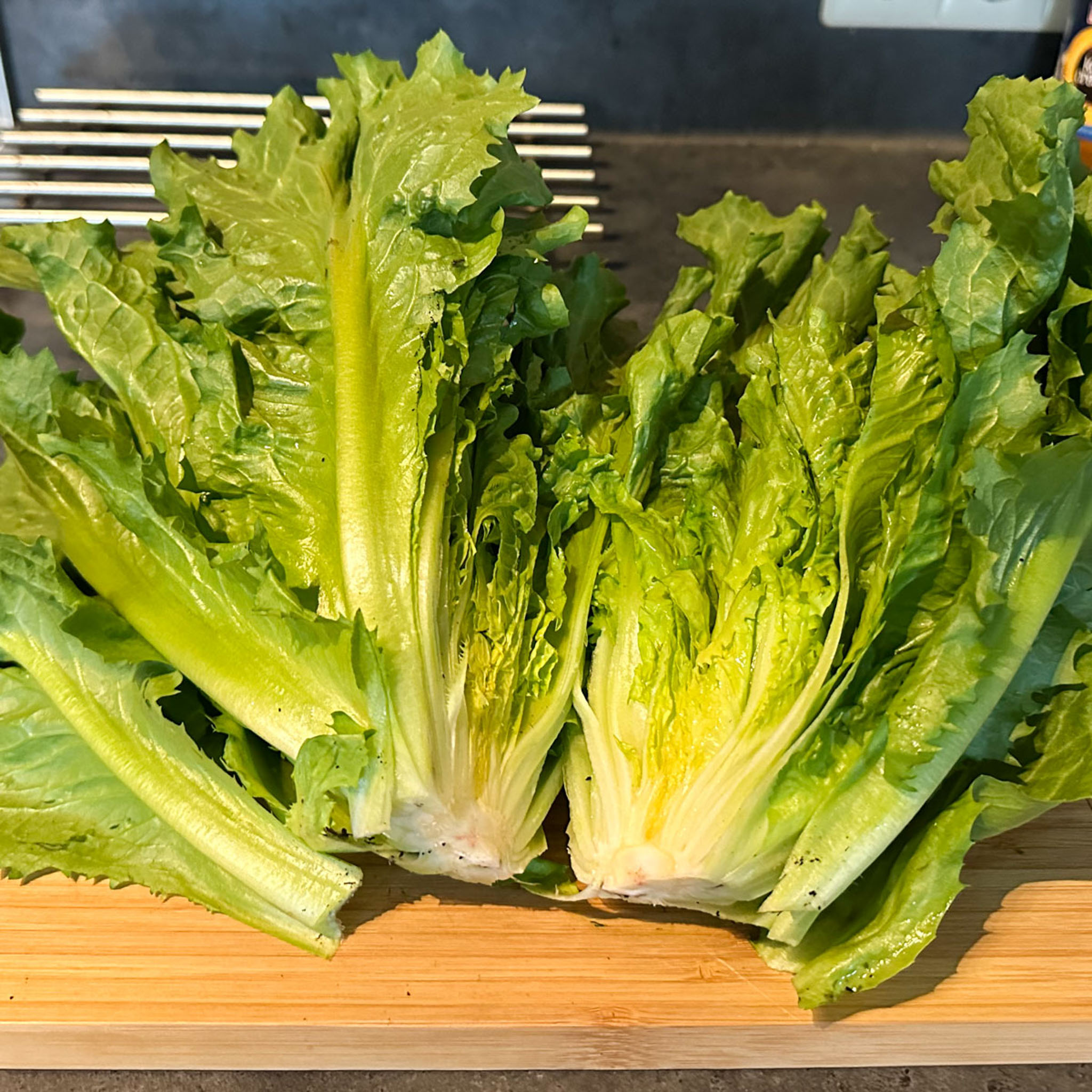 Summer endive