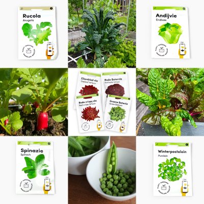10 makkelijke zaden voor beginners