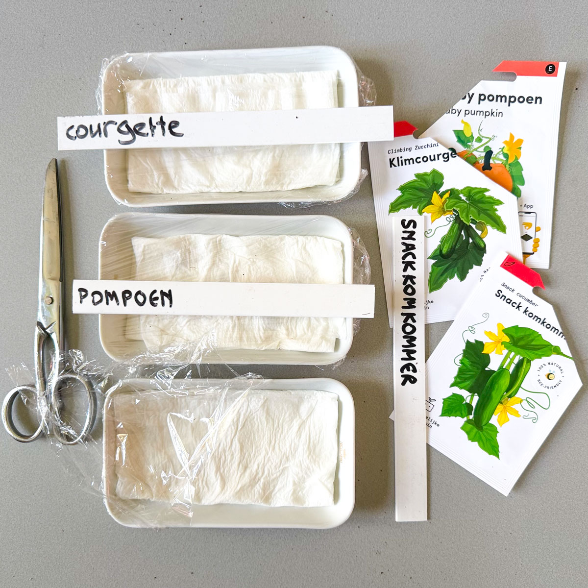 Pre-sprouting: place the seeds between damp layers of paper towel