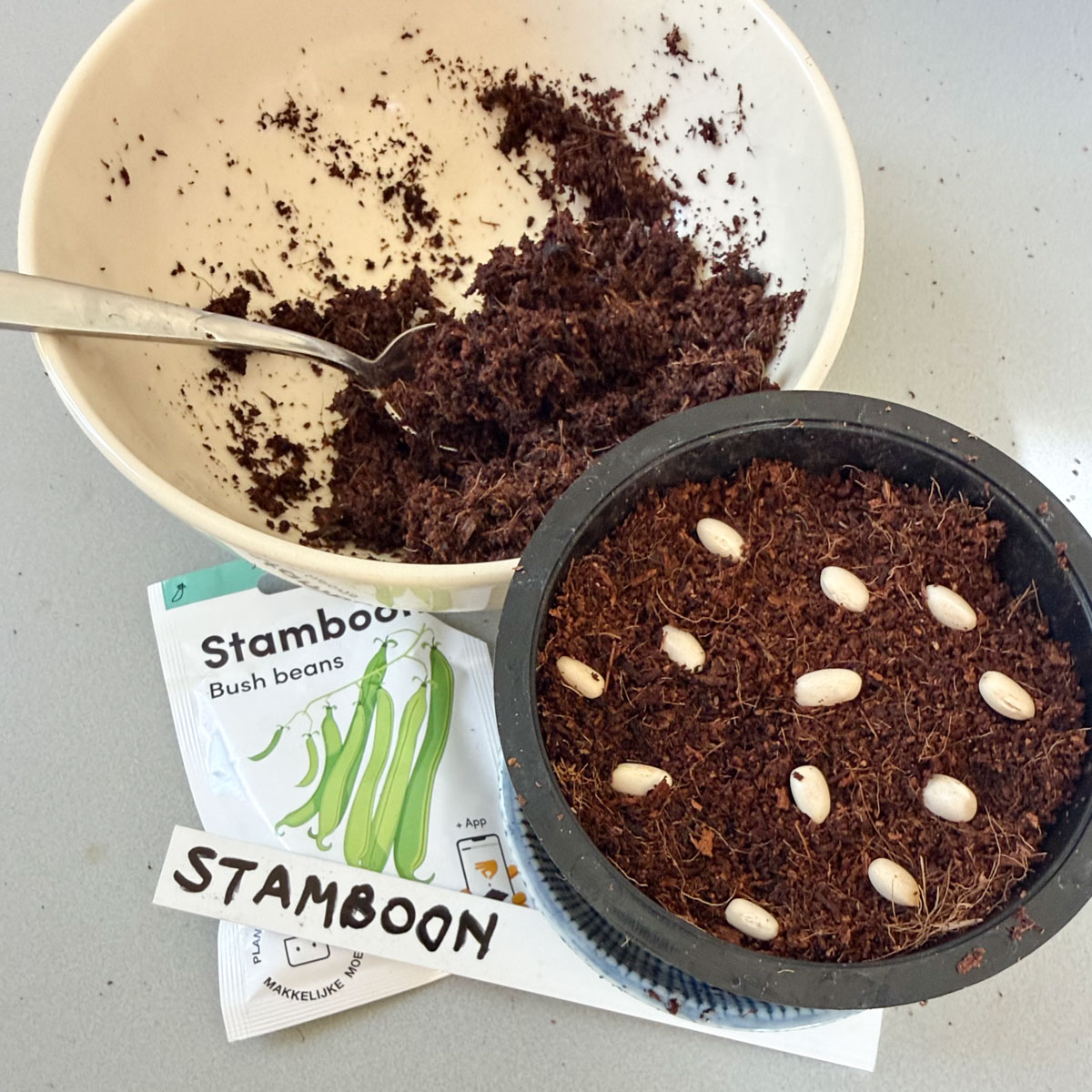 Kiem stambonen eerst voor op voorzaaimix van de Makkelijke Moestuin
