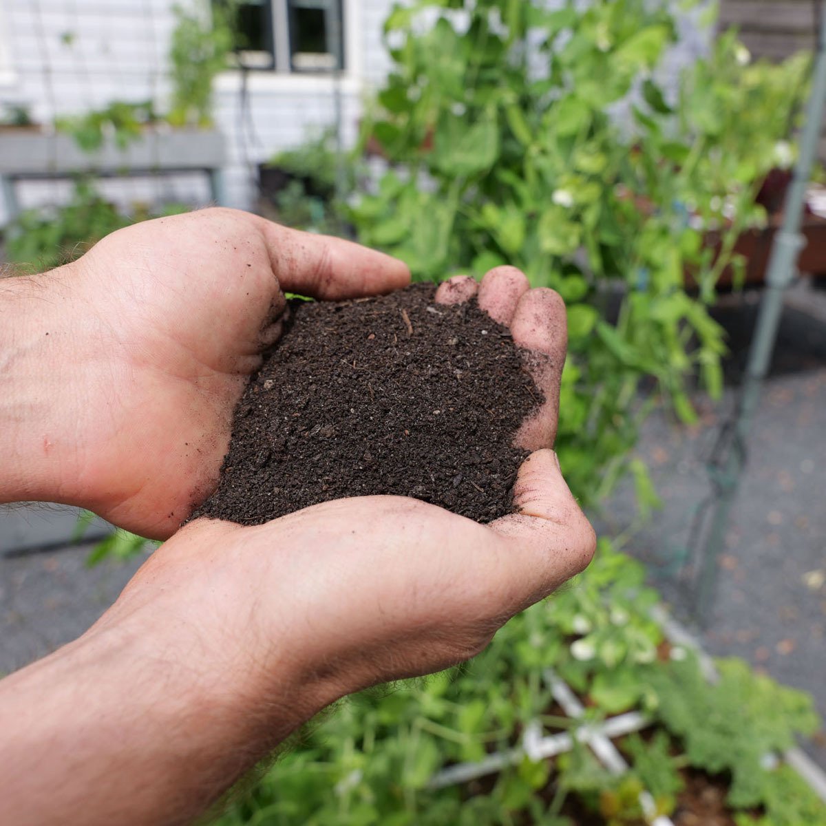 Strooi de wormencompost rond je planten