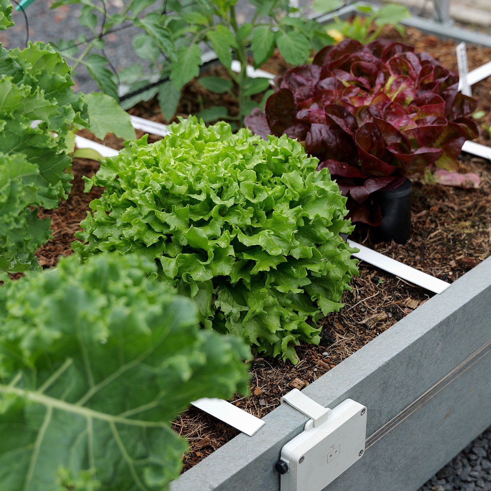 Makkelijke Moestuingrond - 160L