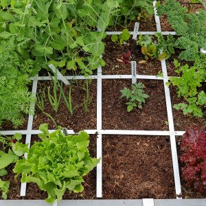 Makkelijke Moestuingrond - 160L