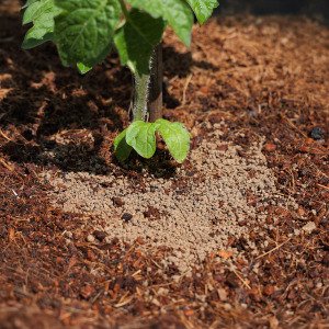 MM plant food