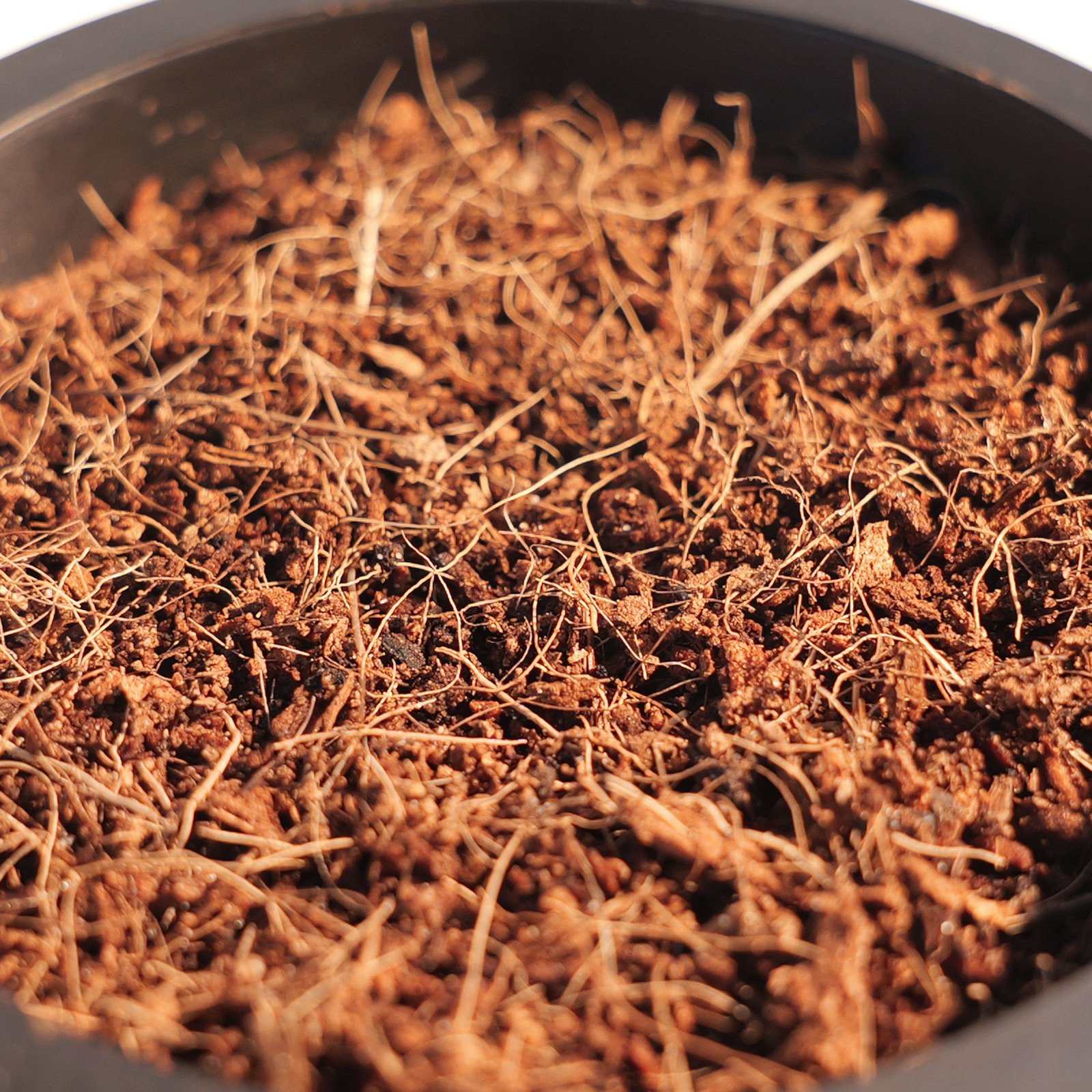 Seed-starting kit