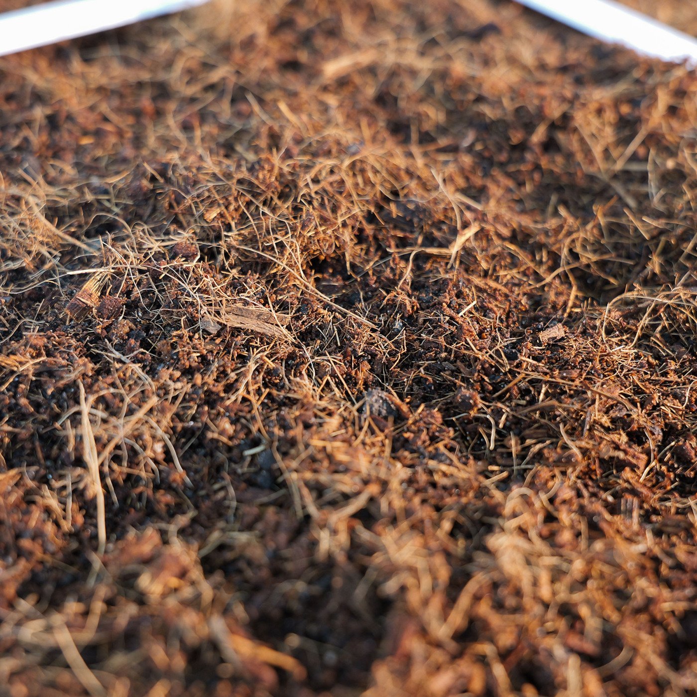 Makkelijke Moestuinmix zelf maken?