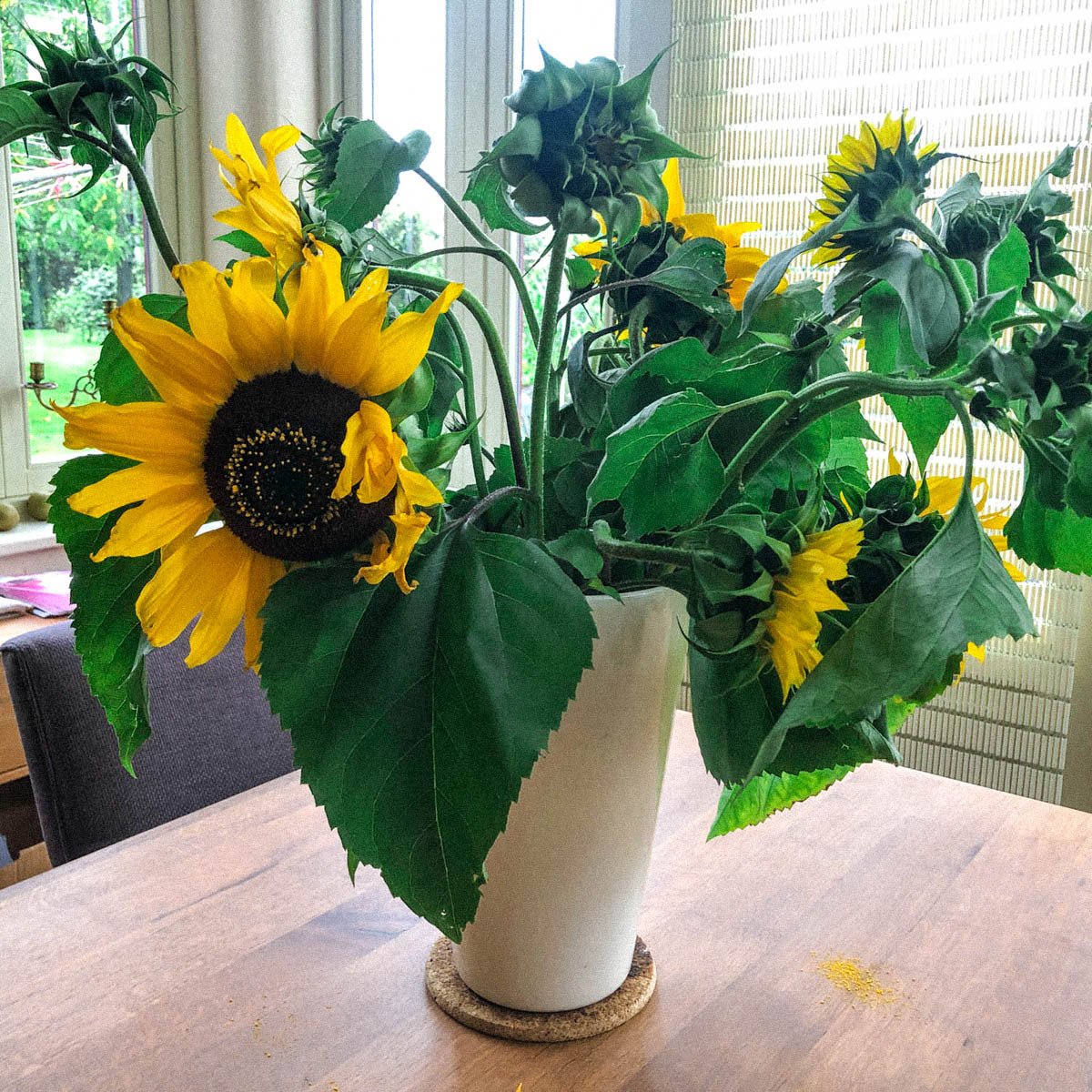 Zet zonnebloemen in een laagje heet water