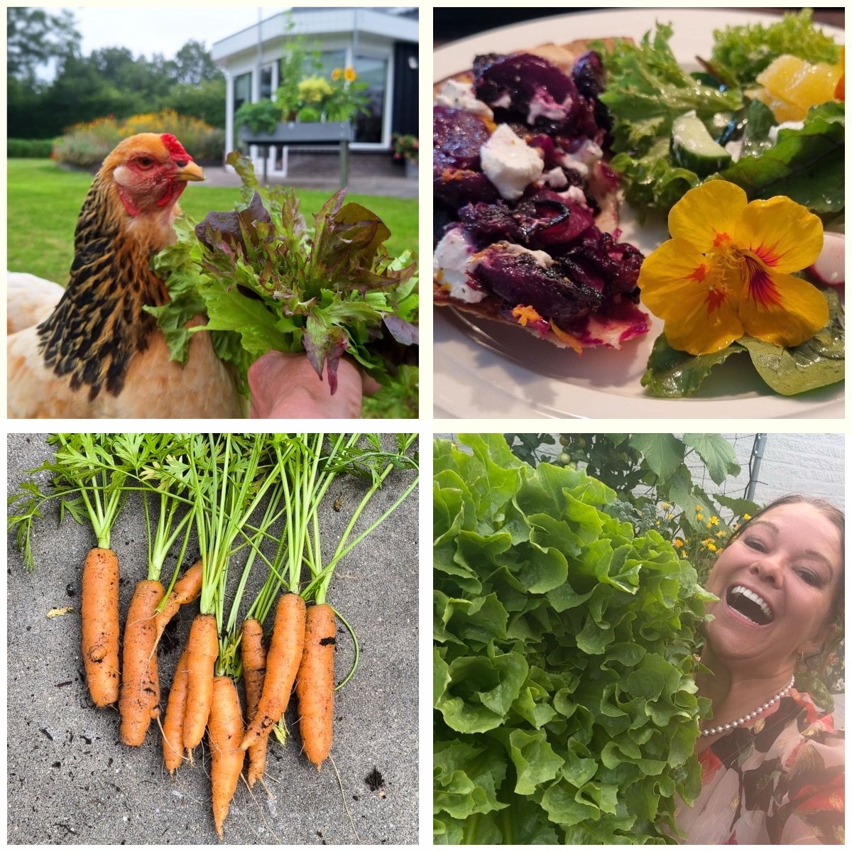 Foto's uit de Makkelijke Moestuin community van SonjaMM, Gails-Garden, Myrna93 en Hebe