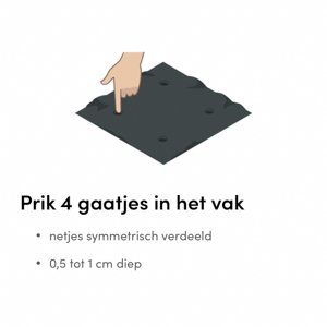 Er passen 4 bindslaplantjes in een Makkelijke Moestuin vak