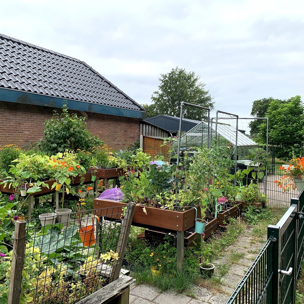 De Makkelijke Moestuin van MoesMarietje