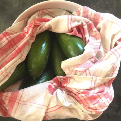Cucumbers keep best when stored in the refrigerator and wrapped in a damp towel