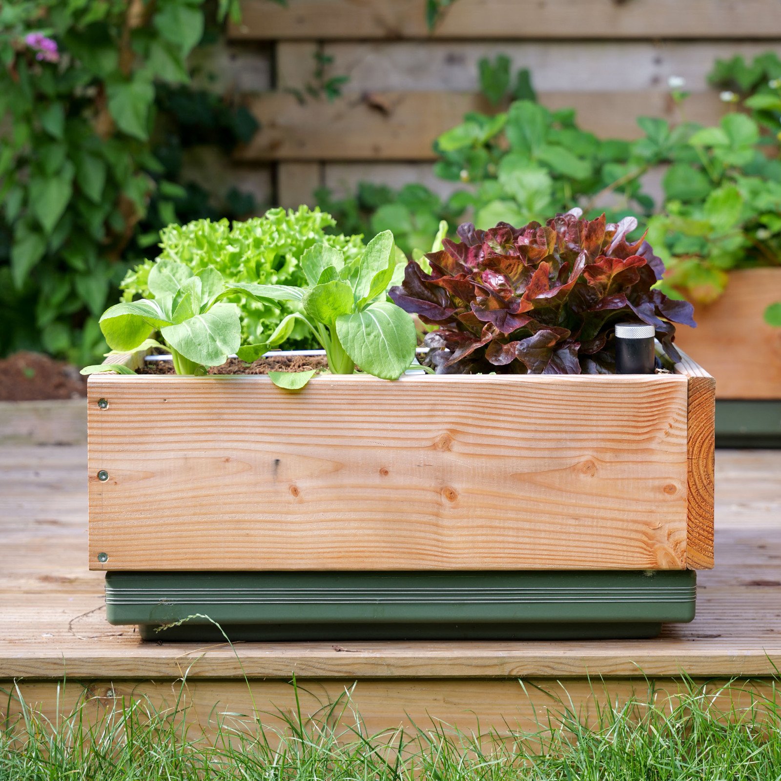 Raised bed – 4 squares