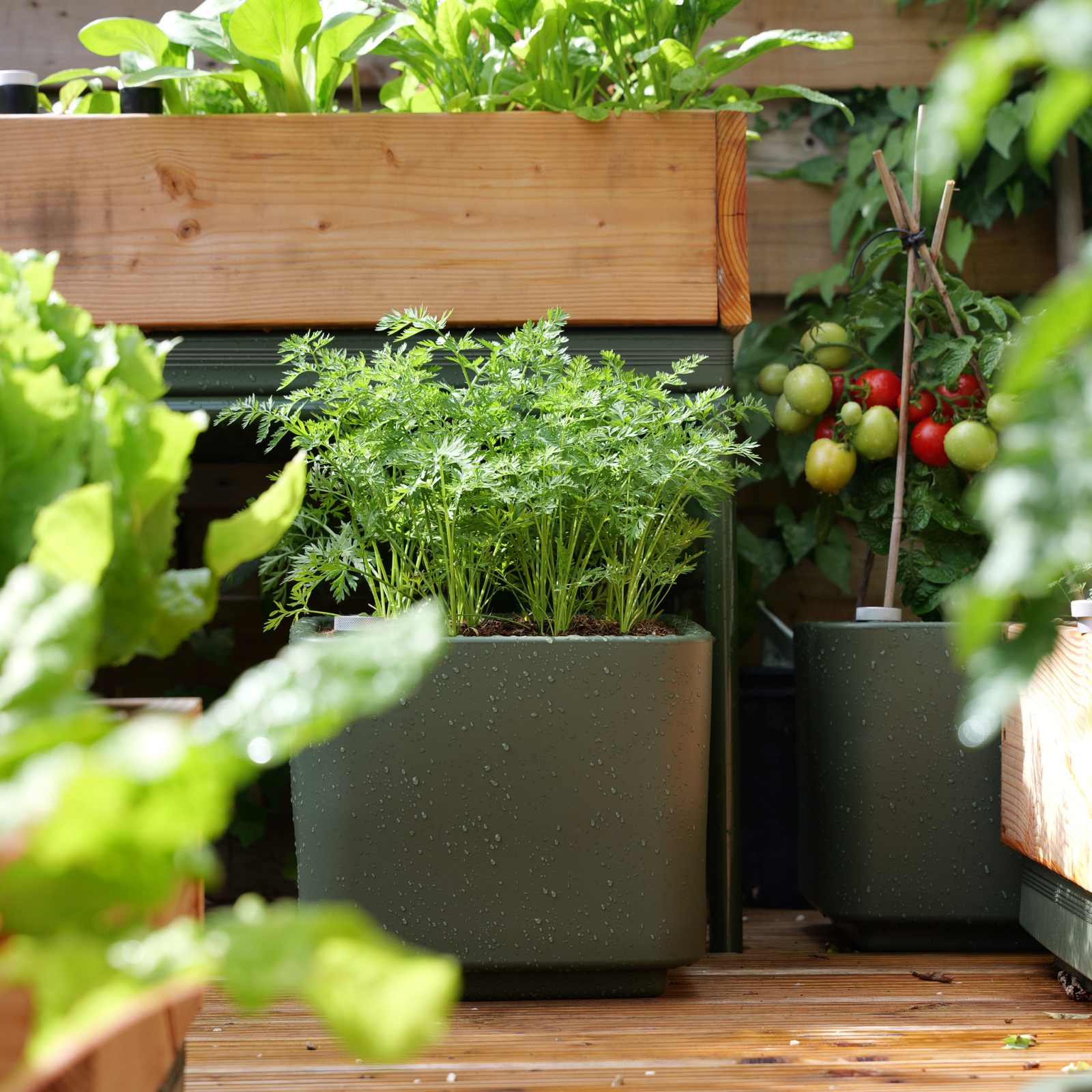 Moestuinpot