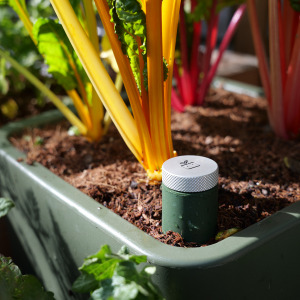 Moestuinpot startpakket