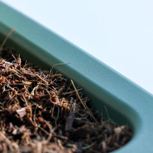 Moestuinpot startpakket knoflook
