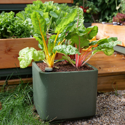 Tadaa: onze nieuwe moestuinpot
