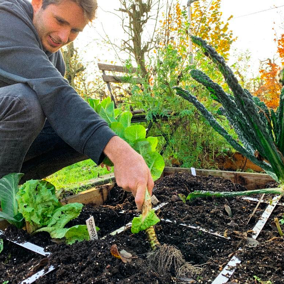Makkelijke Moestuinbakken klaarmaken voor de winter