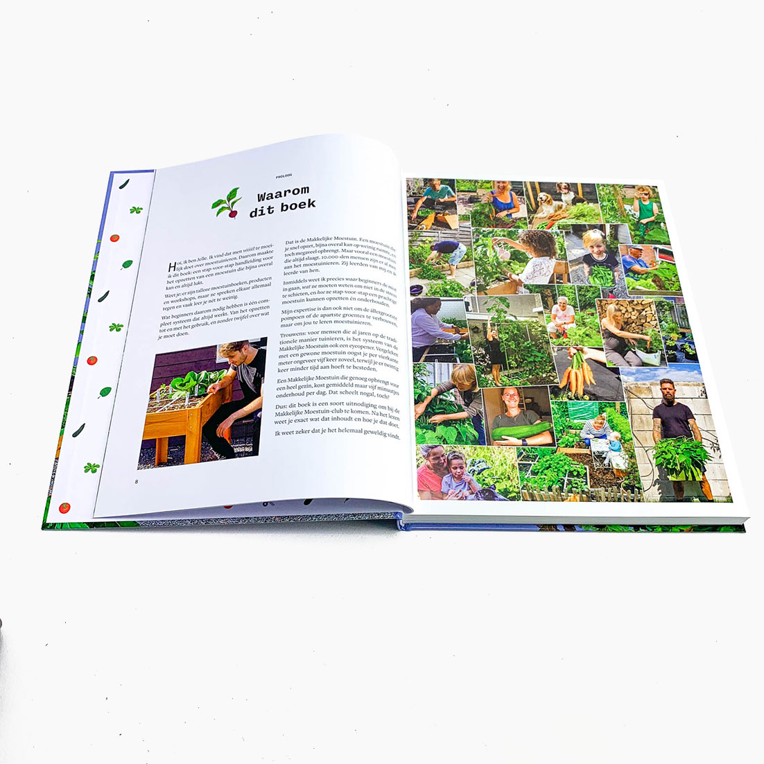 Boek De Makkelijke Moestuin 2.0