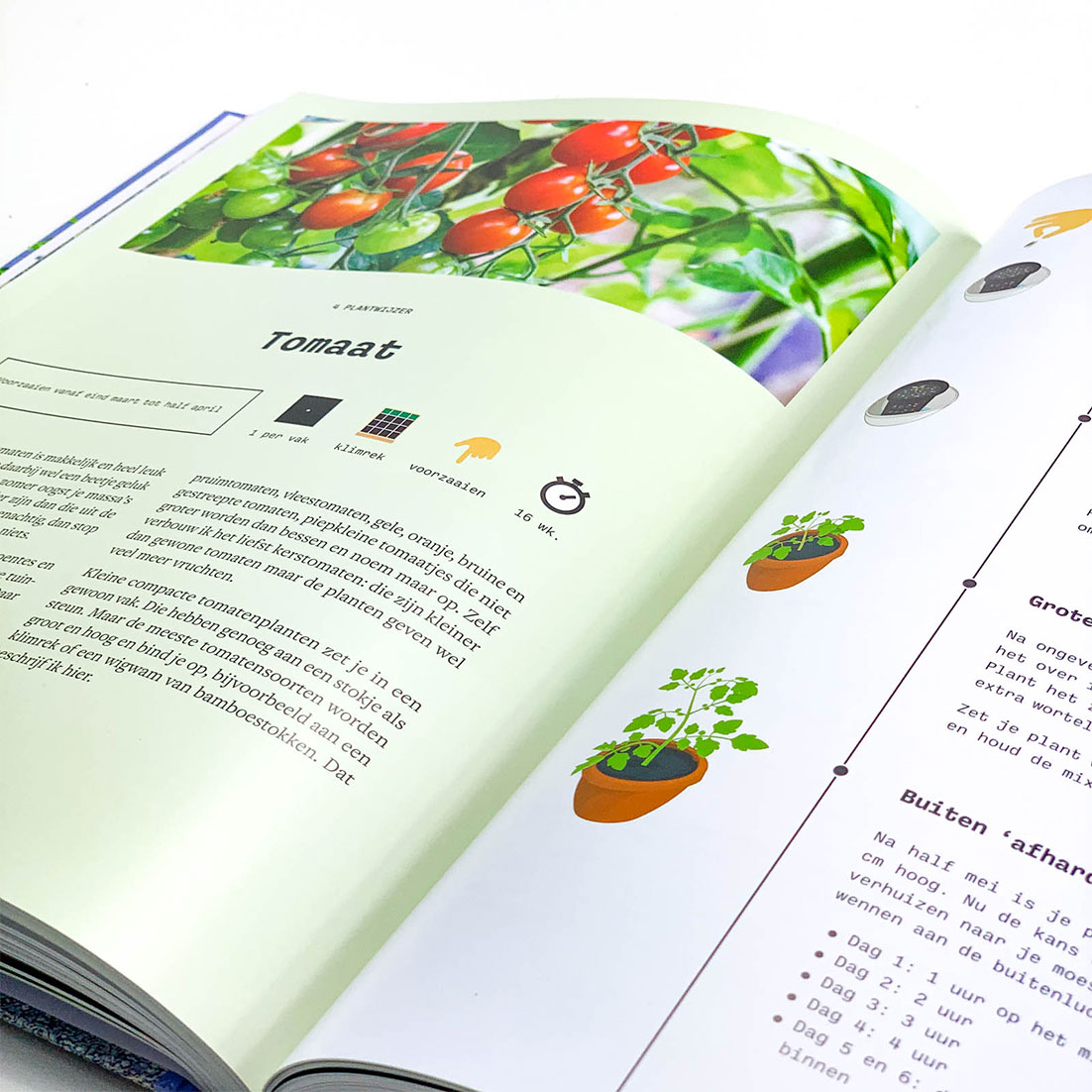 Boek De Makkelijke Moestuin 2.0
