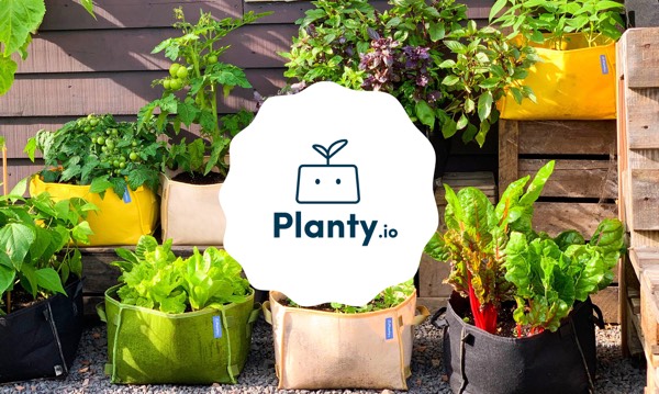 Planty: een kleine, verzendbare versie van de Makkelijke Moestuin